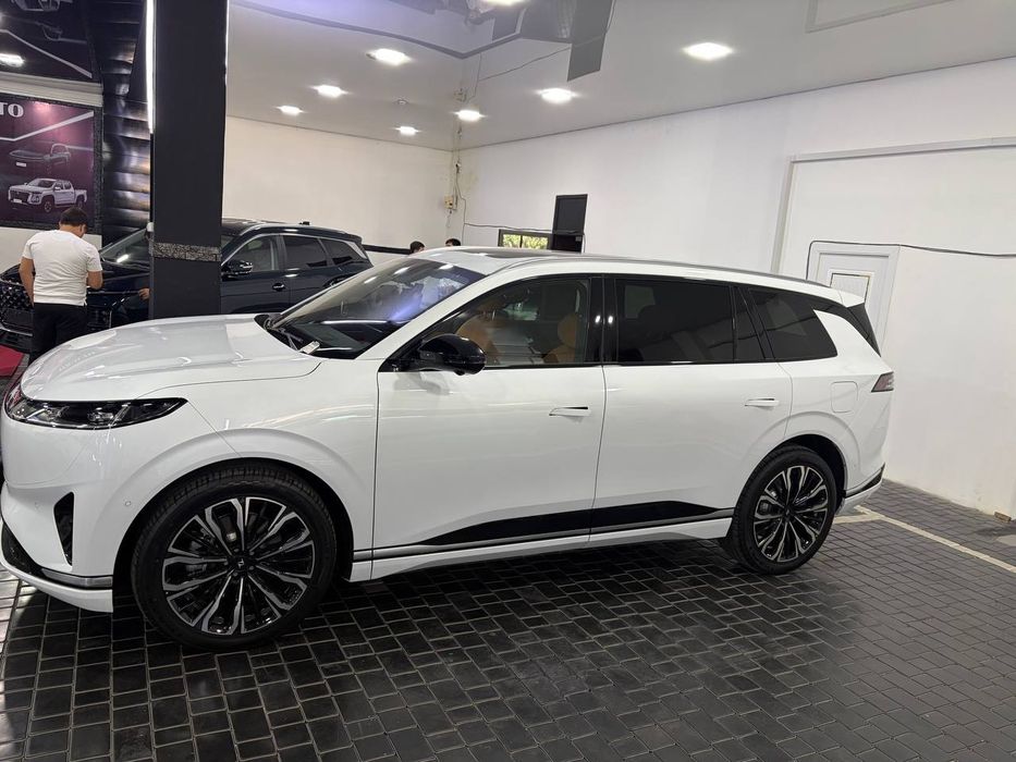 Dongfeng 2025 max Shot spravka