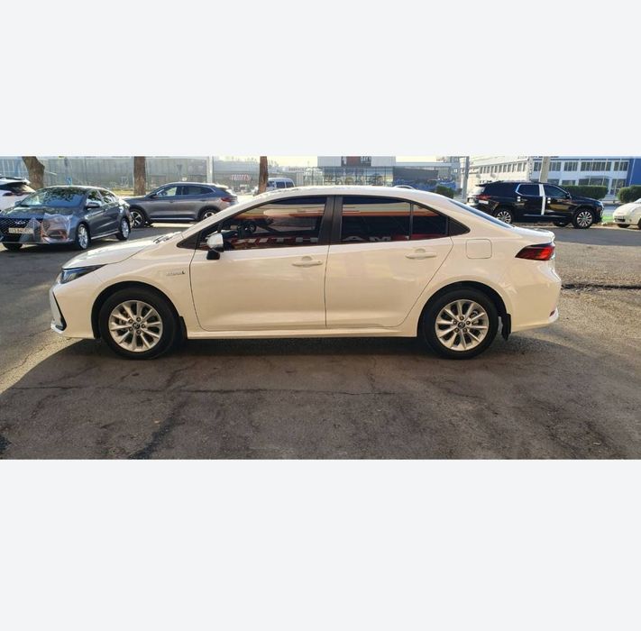 Tayota corolla 2023 yil ideal