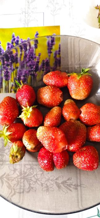 Продам цветы и саженцы.