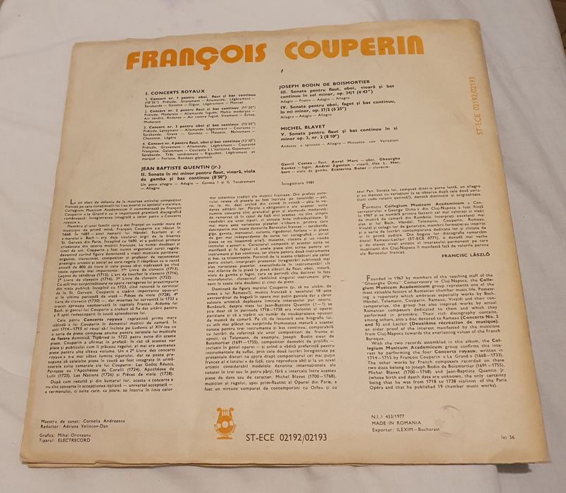 Placi/Discuri vinil