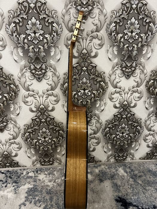 Гитара Agnetha проктически новая