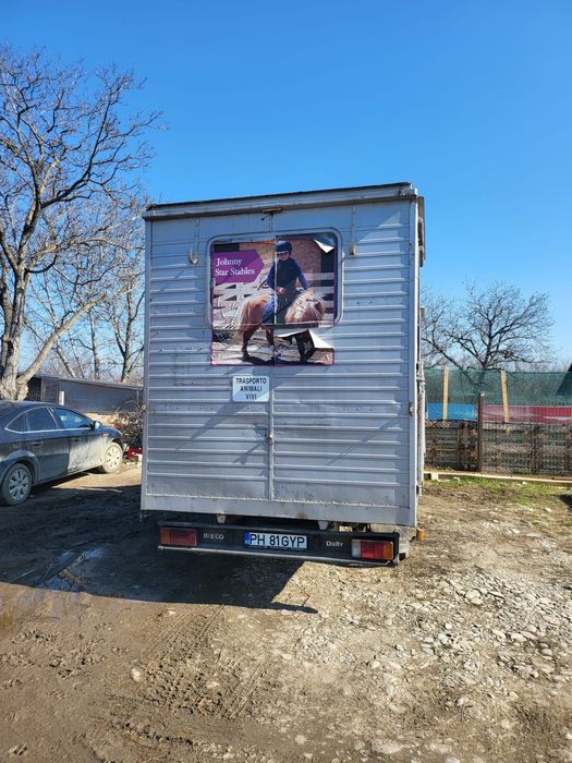 Iveco transport cai animale