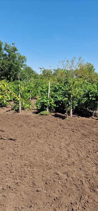 Продава се Къща в Стара Загора, Казански - 100 кв.м за 200 €/кв.м - Снимка #11