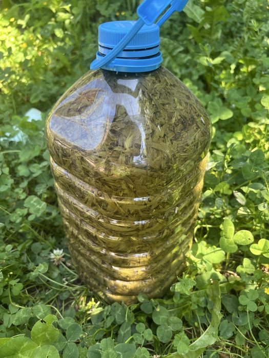Tarhon în oțet, la bidon sau la borcan mic/mare