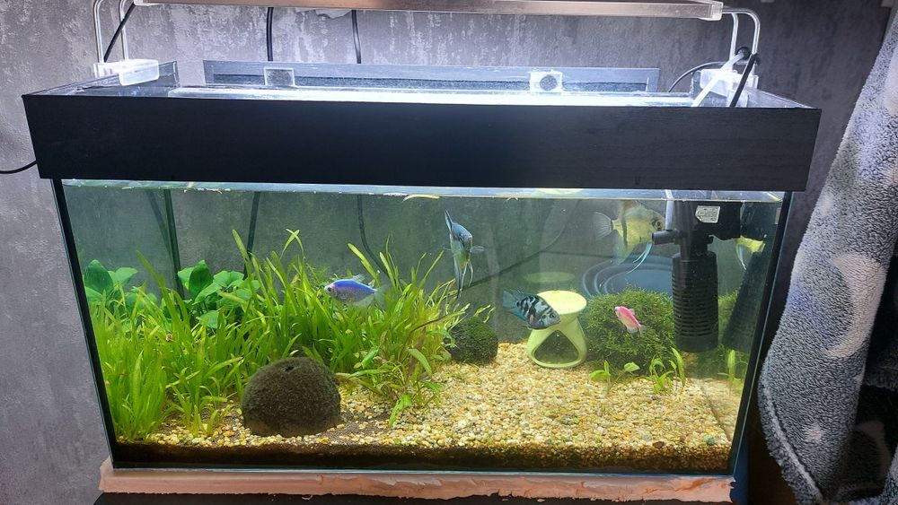 Продам аквариумы