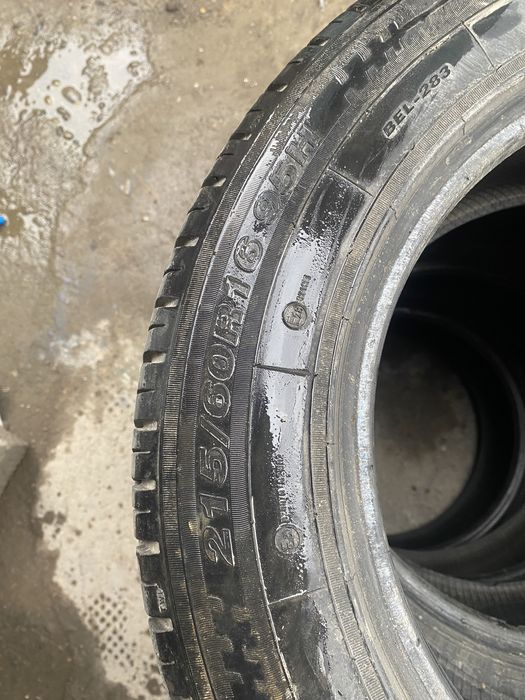 жагдайы жаксы пратекторлары