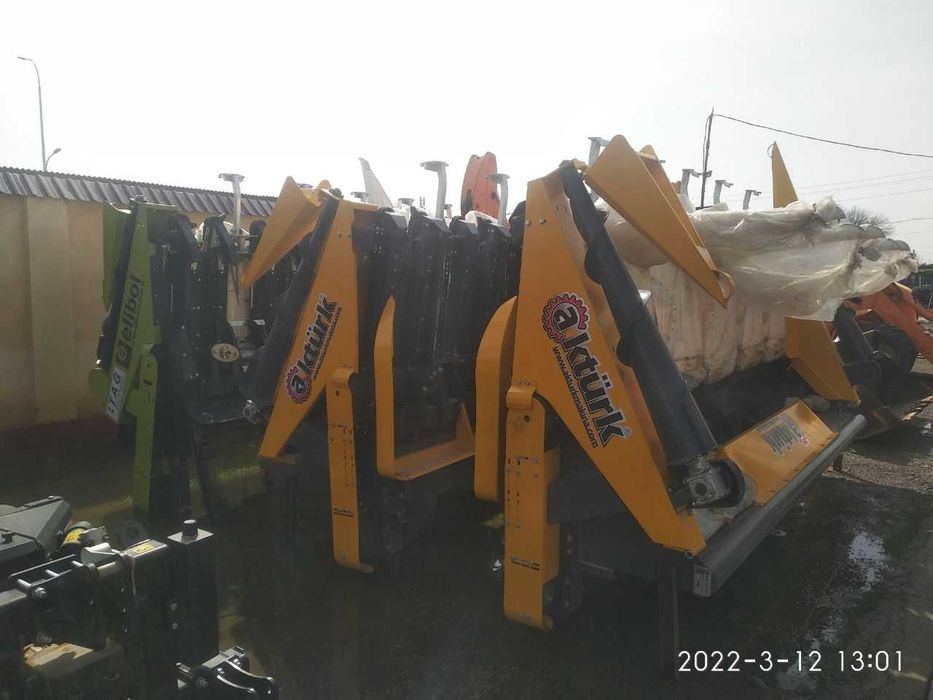 Маккажухори жаткаси