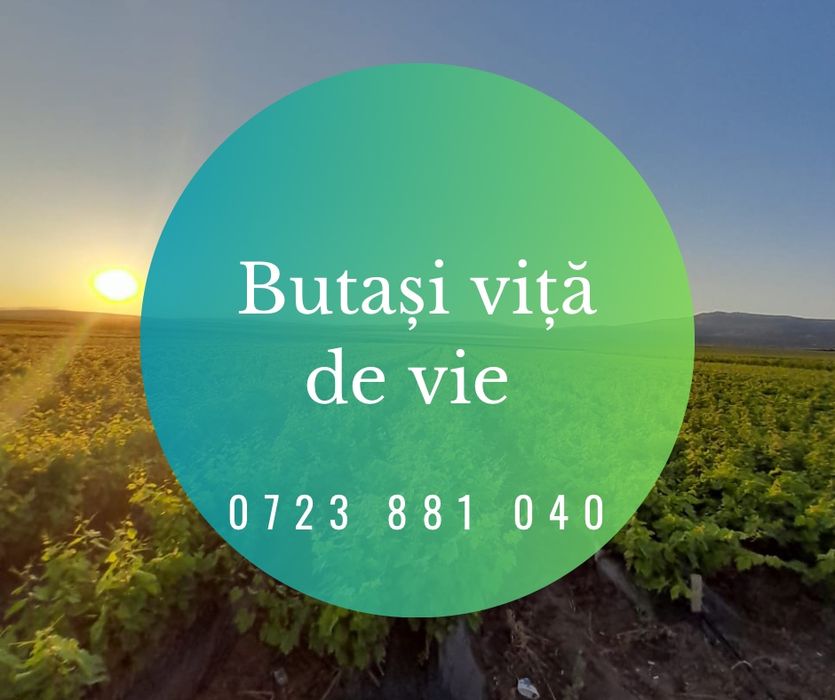 Butasi vita de vie