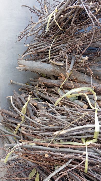 Дрова от  урюка...