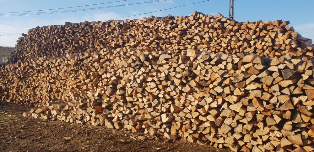 Lemn lemne de foc fag