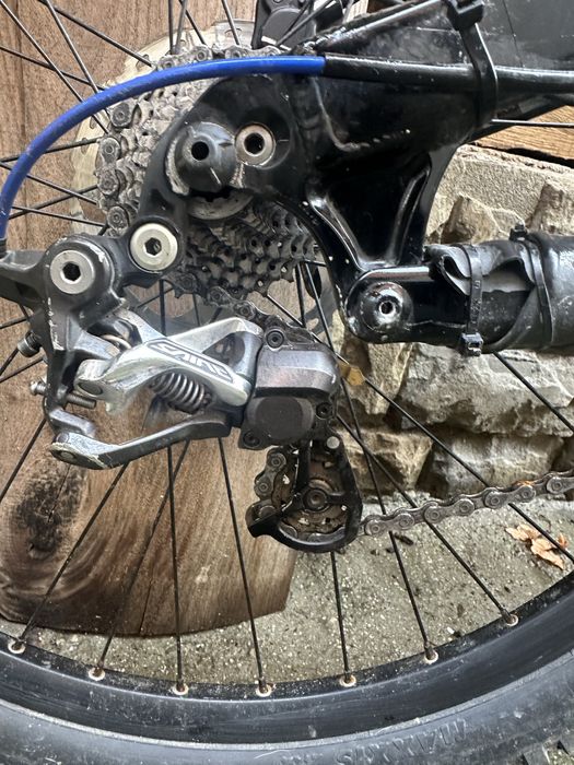 specialized status 1