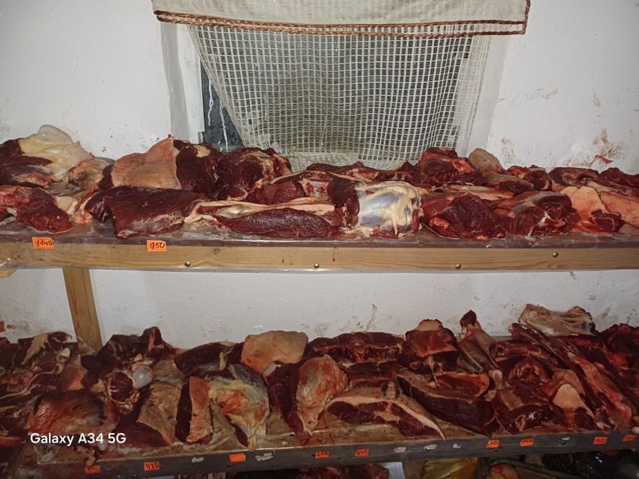 Продам соғым, байтал