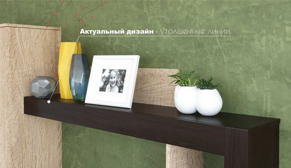 Гостиная Торонто (дуб сонома/венге)