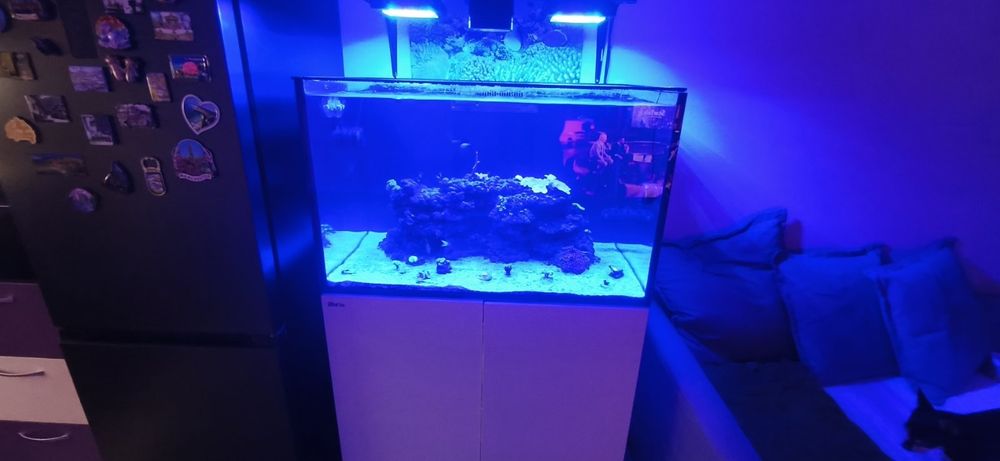 Морски аквариум red sea 300g2+