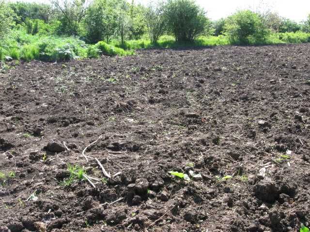 Продава се Парцел в с. Безводица, Област Добрич - 3152 кв.м за 3 €/кв.м - Снимка #1