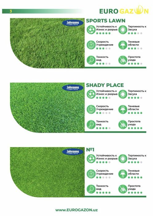 Газон: рулонный и посевной, ландшафтный дизайн, деревья и растения