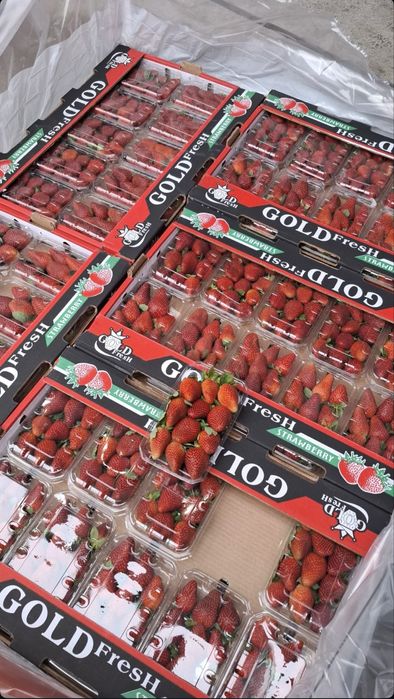 Клубника Египет свежая!