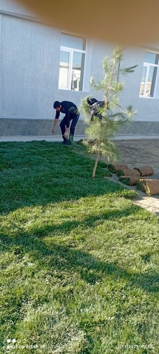 Ruloniy gazon ekish xizmati