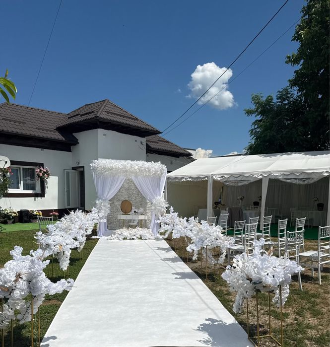 Decapotabila,Save the date,baloane cu fum,cabina foto,gatitul miresei.