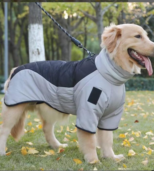 Собачья куртка, непромокаемая.