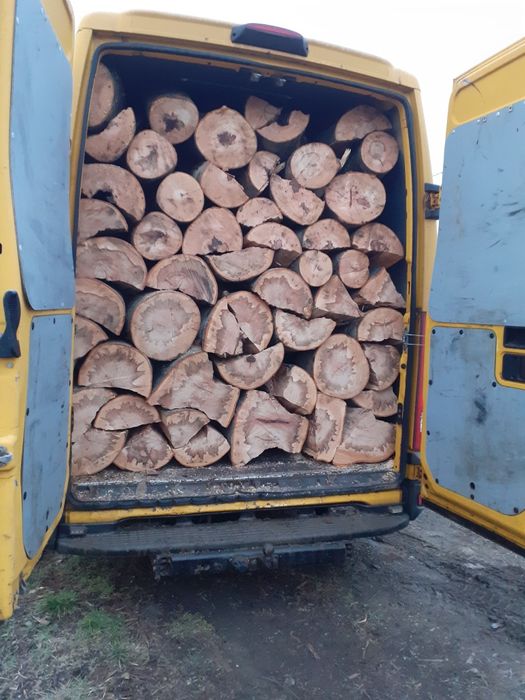 Aduc lemne de foc esență tare