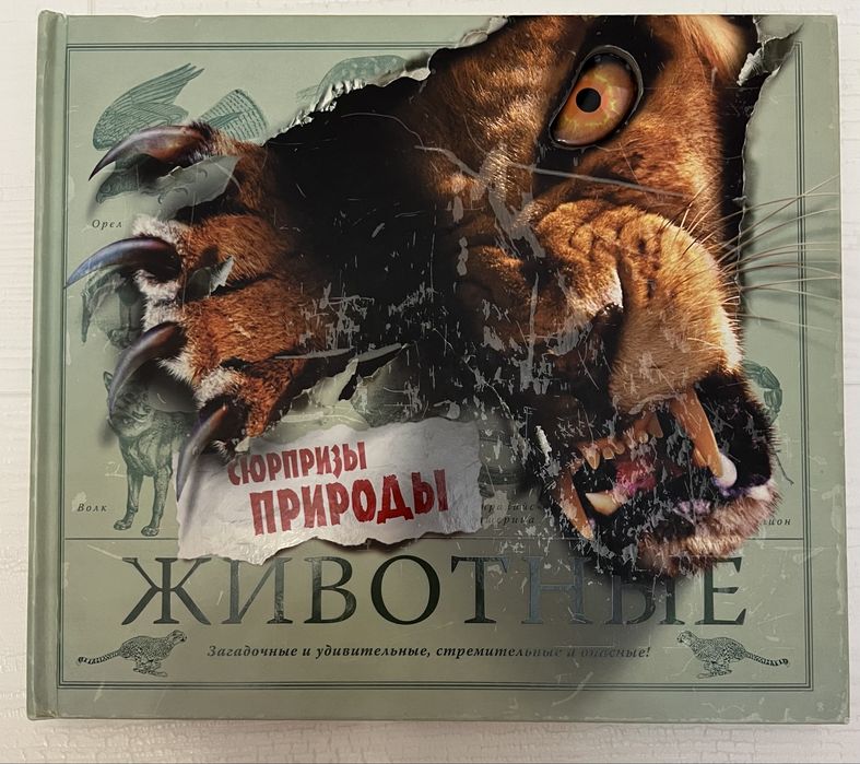 Книги  детские.