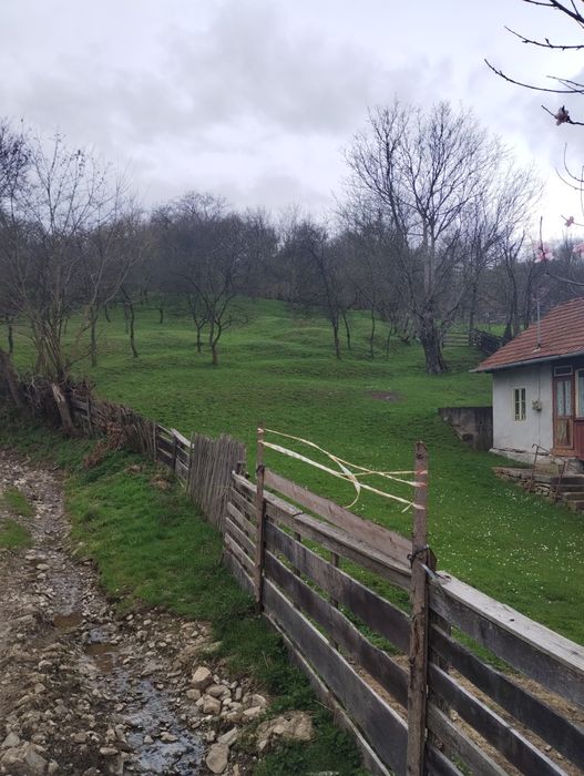 Casa de vânzare in Zlatna