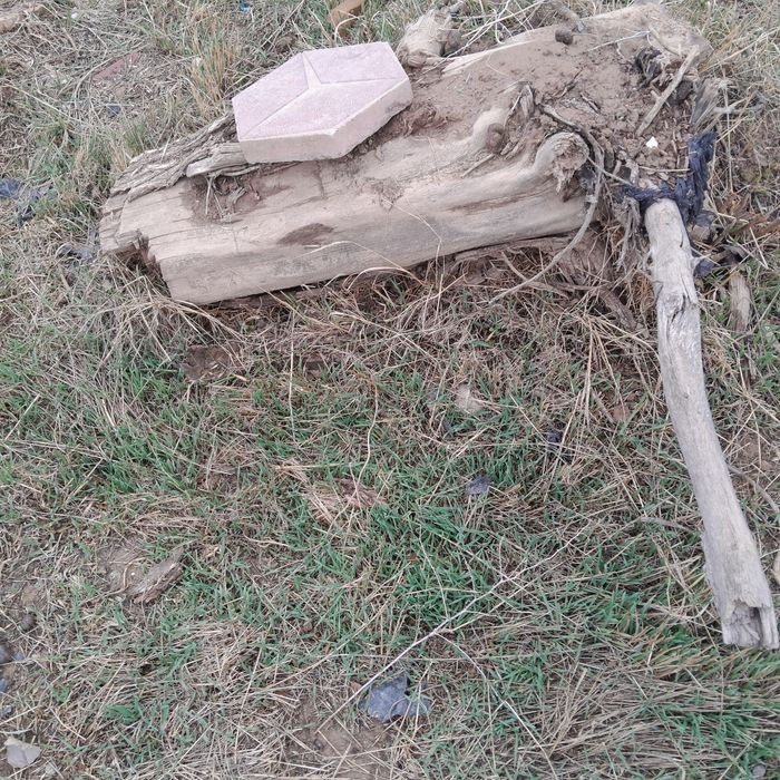 Курик утинлар сотилади