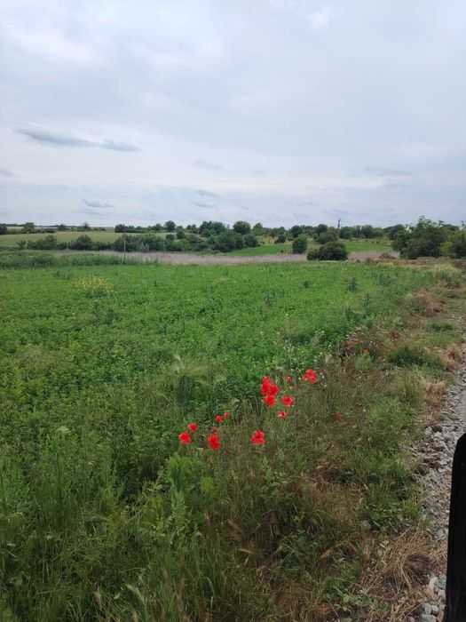 Vand teren Mariuta - Belciugatele-1000mp - Intravilan - 30€/mp-Direct Proprietar