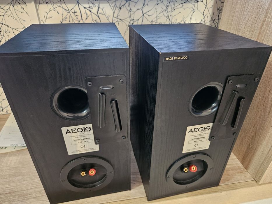 Boxe  Acoustic Energy Aegis One