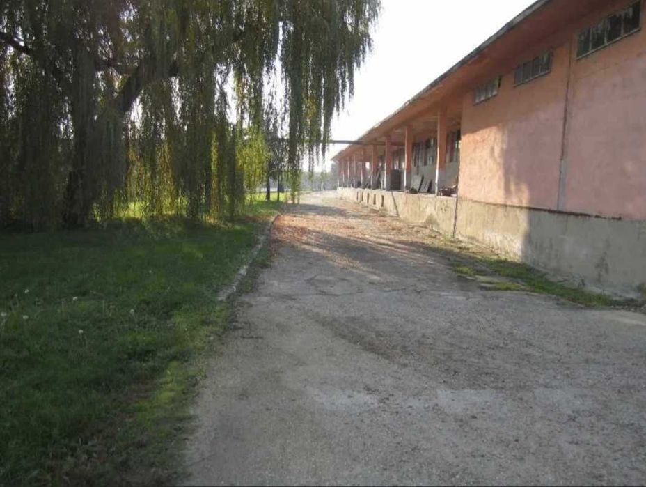 Продава се Склад в Полски Тръмбеш - 8000 кв.м за 43 €/кв.м - Снимка #3