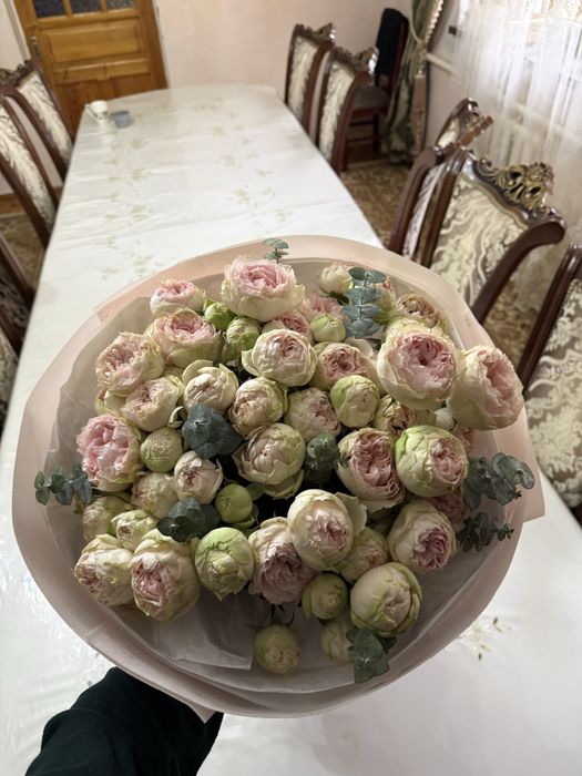 Цветы, пионы свежие
