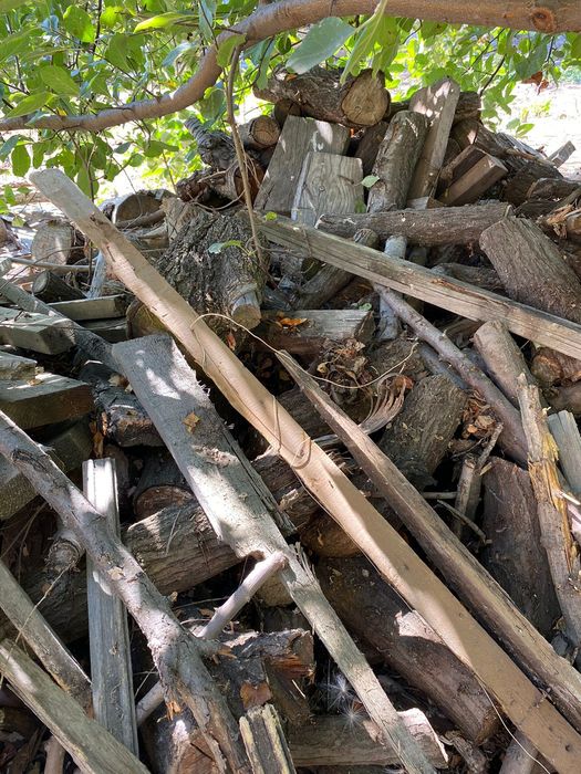 Продам дрова для бани много