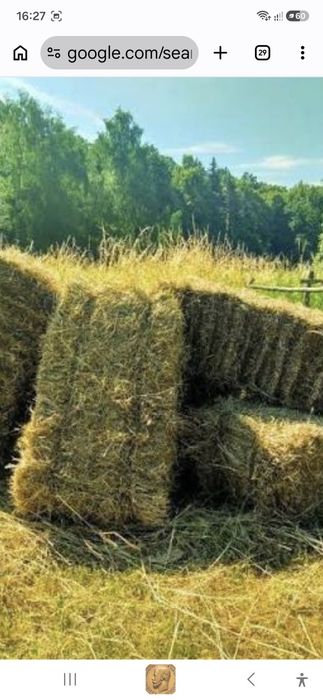 Продам отруби Соль лизунец сено
