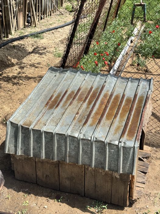 ит үйі / будка для собаки