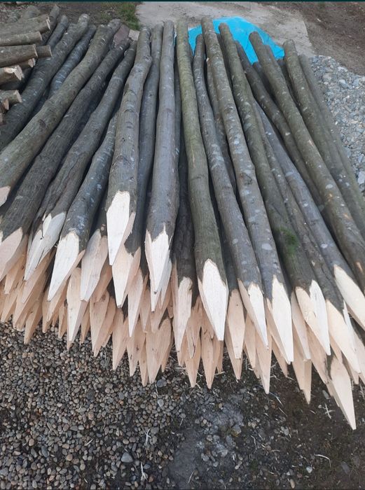 Pari pentru legume, rosii , fasole / Araci gard / Stâlpi gard electric