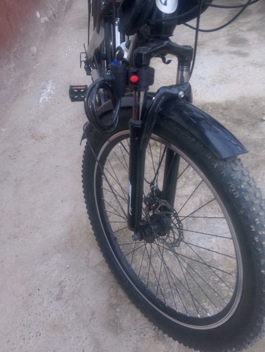 Velik tinchlik yangi