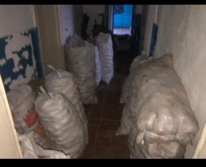 Продам картофель