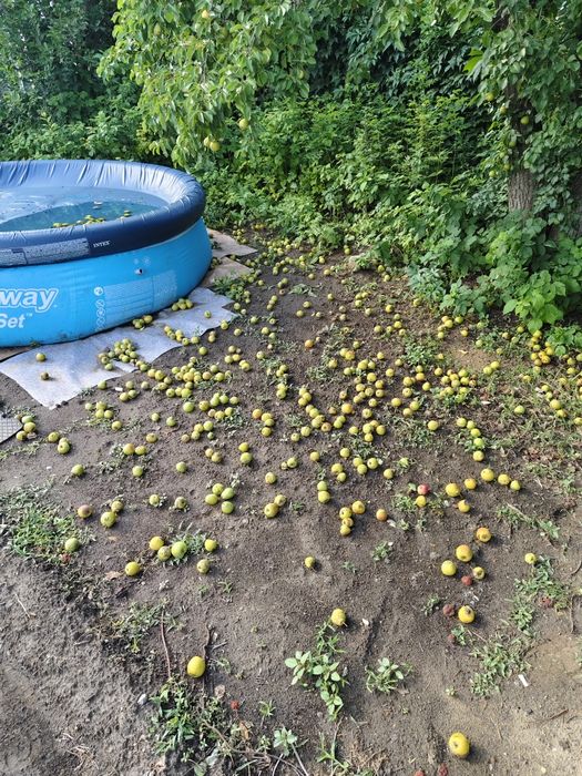 Продам дачу район келешек