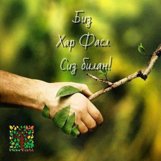 Mevali Manzarali daraxtlar