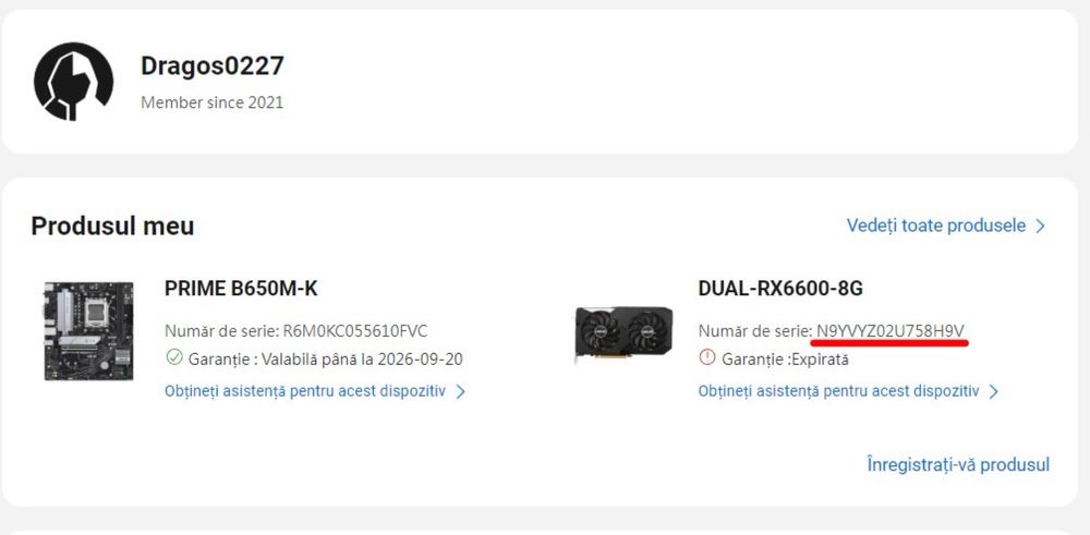 AMD RX 6600 Asus Dual 8 GB