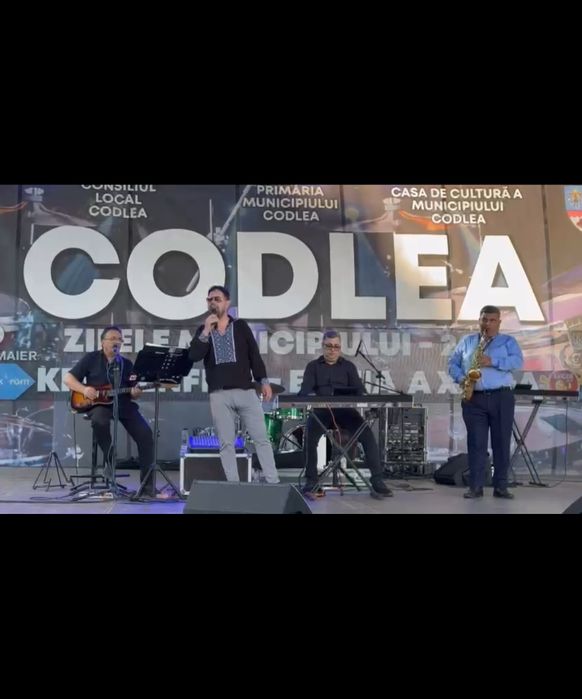 Formație, orchestră, muzică live ,lăutari