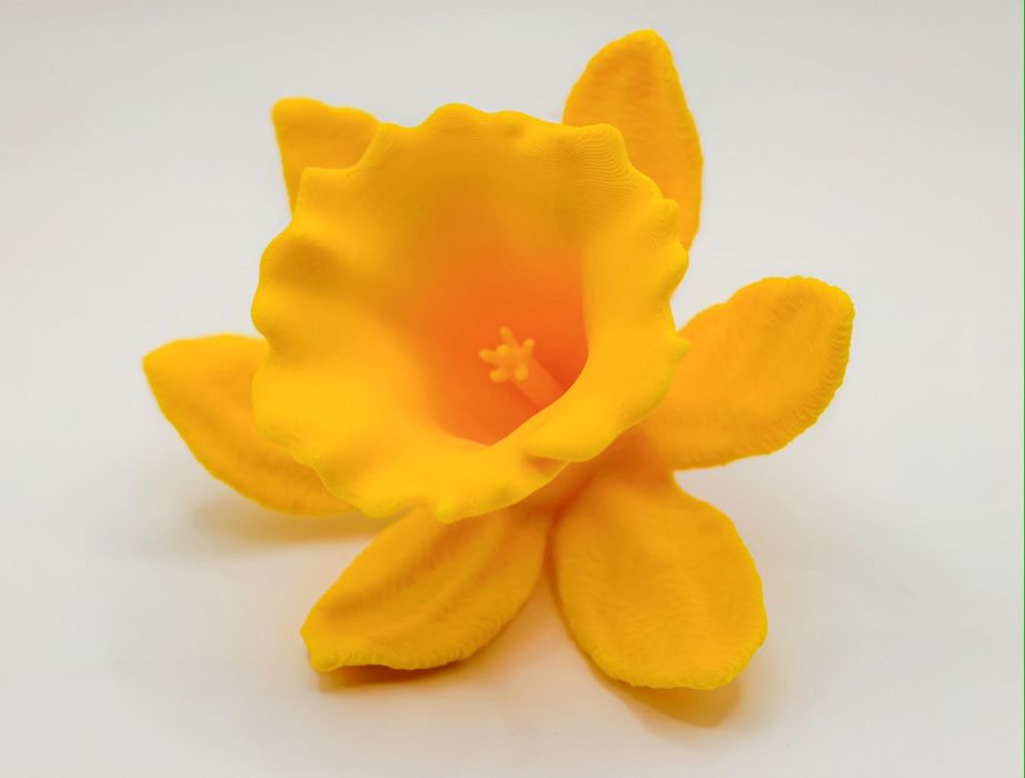 Aranjament floral 3D Premium - Surpriza inedita de 8 Martie.