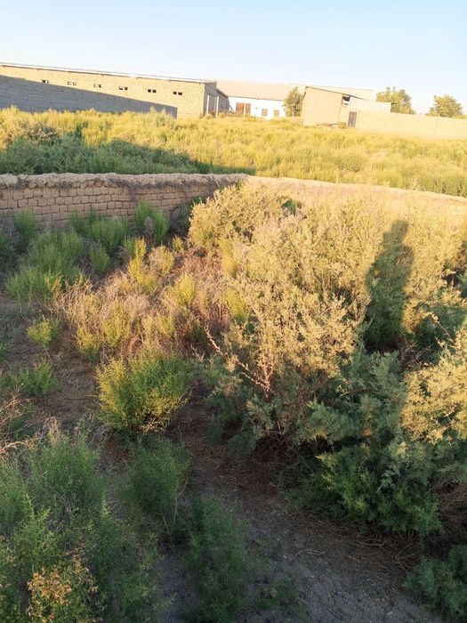 Qarshi tumani Yangibogda uchaska sotiladi