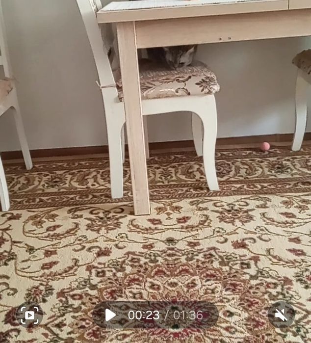 Ковер продам б/у