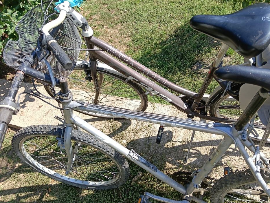 Biciclete bărbați femeii copiii
