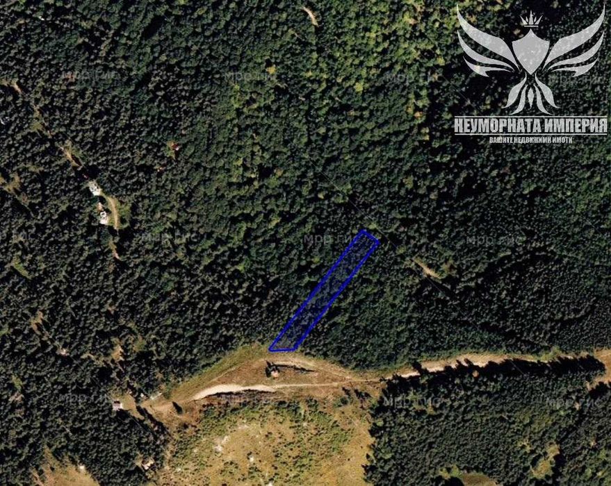 Продавам гора 5553кв.м. в м.Бяла Черква, с.Добралък,общ.Куклен