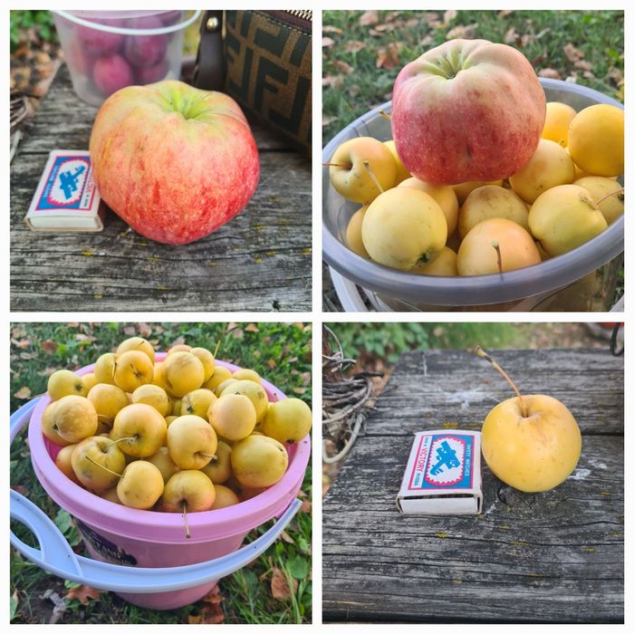 Продам дачный участок