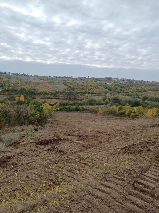 Parcele 665mp si 1000mp. Okazie  Saldabagiu de Munte