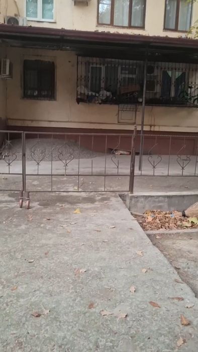 3ком пер-н 4/1/4 Чиланзар 16 разделка